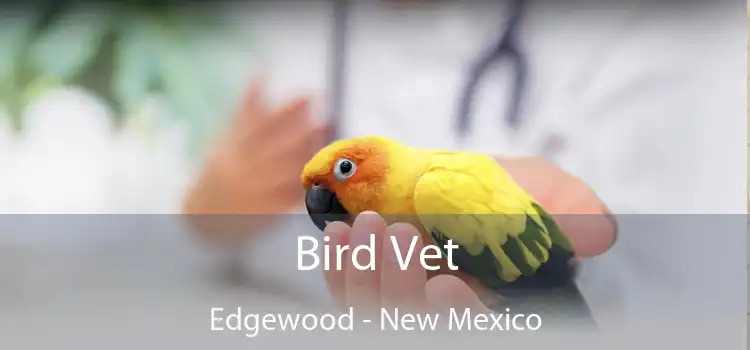Bird Vet Edgewood - New Mexico