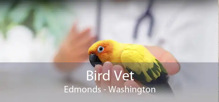 Bird Vet Edmonds - Washington