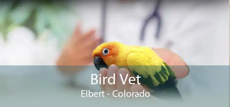Bird Vet Elbert - Colorado