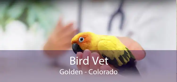 Bird Vet Golden - Colorado