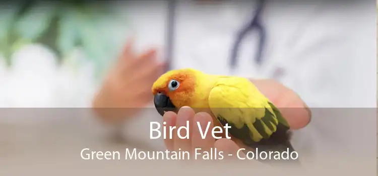 Bird Vet Green Mountain Falls - Colorado