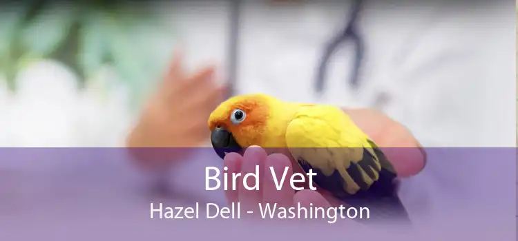 Bird Vet Hazel Dell - Washington