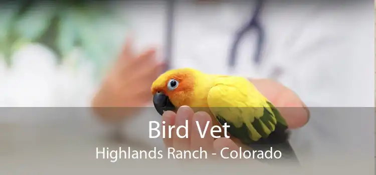 Bird Vet Highlands Ranch - Colorado