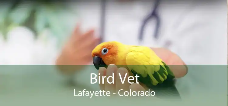 Bird Vet Lafayette - Colorado