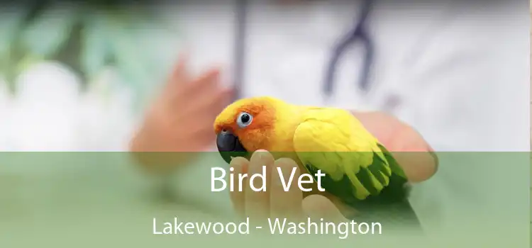 Bird Vet Lakewood - Washington