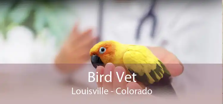 Bird Vet Louisville - Colorado