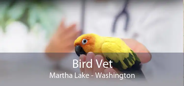 Bird Vet Martha Lake - Washington