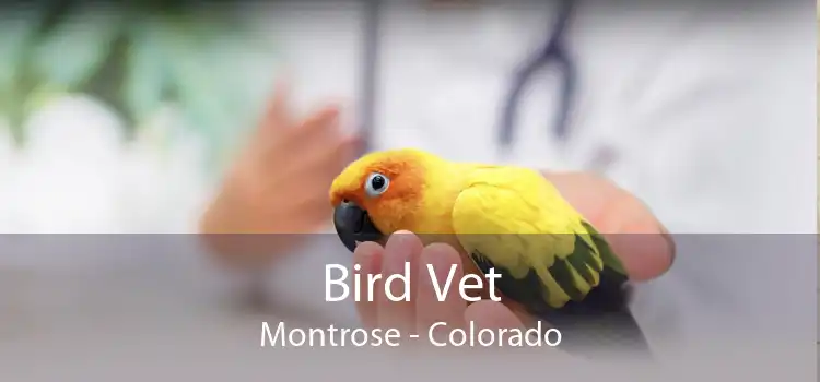 Bird Vet Montrose - Colorado