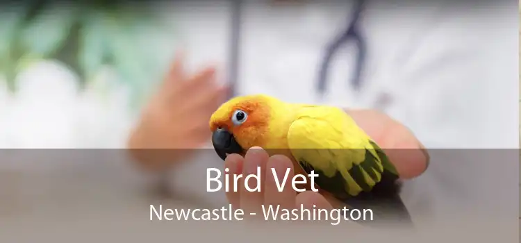 Bird Vet Newcastle - Washington