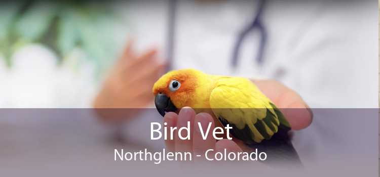 Bird Vet Northglenn - Colorado