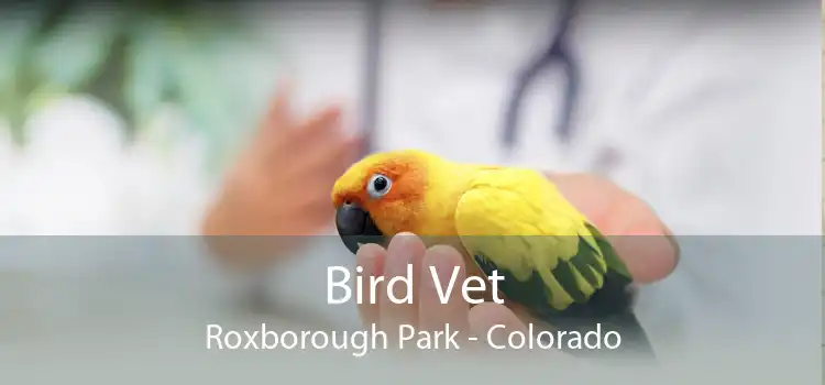 Bird Vet Roxborough Park - Colorado