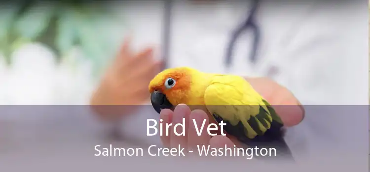 Bird Vet Salmon Creek - Washington
