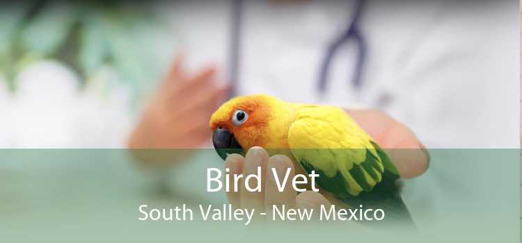 Bird Vet South Valley - New Mexico