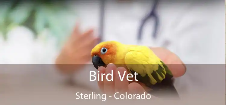 Bird Vet Sterling - Colorado