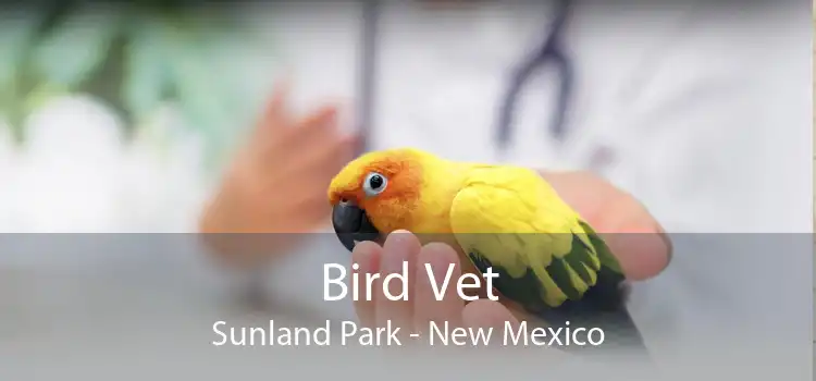 Bird Vet Sunland Park - New Mexico