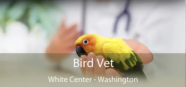 Bird Vet White Center - Washington
