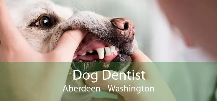 Dog Dentist Aberdeen - Washington