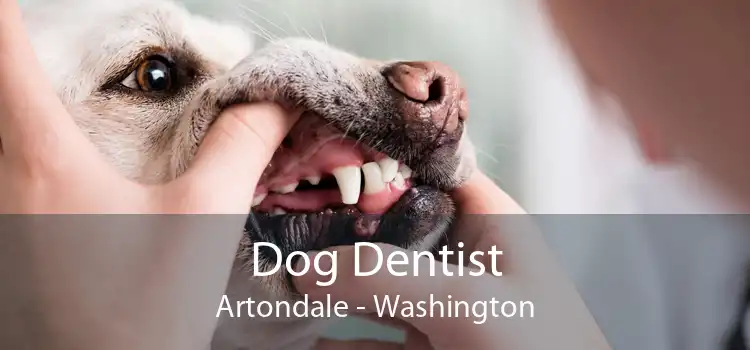 Dog Dentist Artondale - Washington