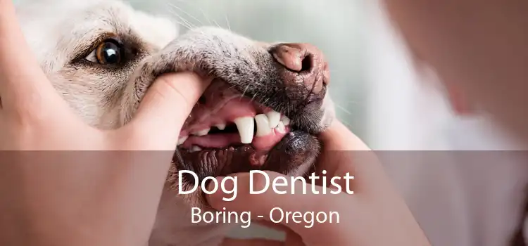 Dog Dentist Boring - Oregon