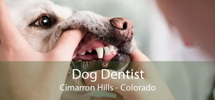 Dog Dentist Cimarron Hills - Colorado