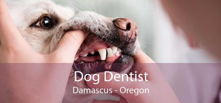 Dog Dentist Damascus - Oregon