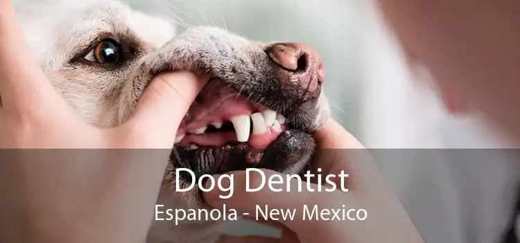 Dog Dentist Espanola - New Mexico