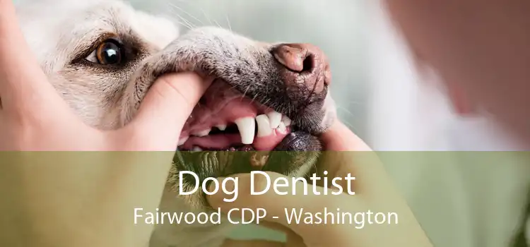 Dog Dentist Fairwood CDP - Washington