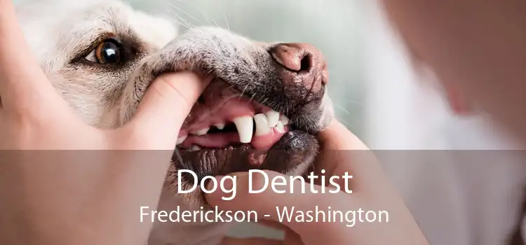 Dog Dentist Frederickson - Washington