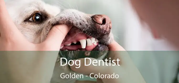 Dog Dentist Golden - Colorado