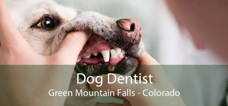 Dog Dentist Green Mountain Falls - Colorado