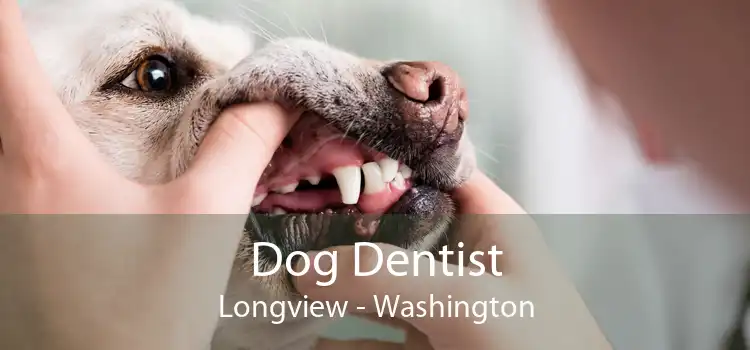 Dog Dentist Longview - Washington