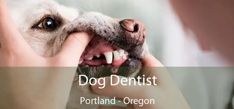 Dog Dentist Portland - Oregon