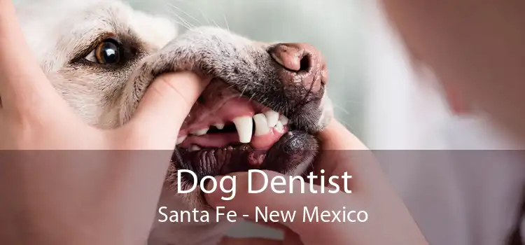 Dog Dentist Santa Fe - New Mexico