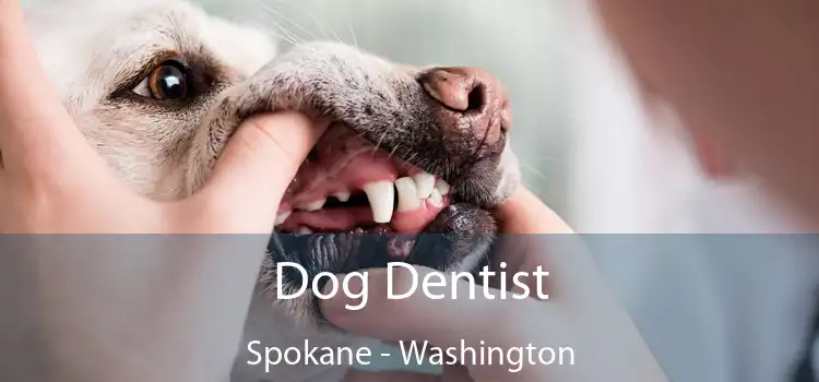 Dog Dentist Spokane - Washington