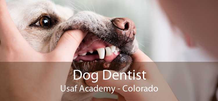 Dog Dentist Usaf Academy - Colorado