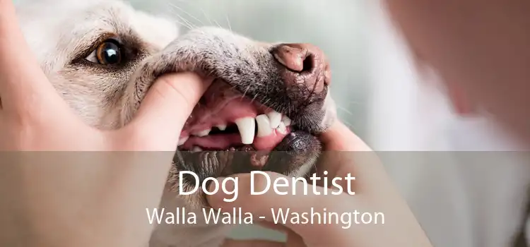 Dog Dentist Walla Walla - Washington