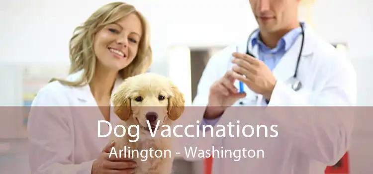 Dog Vaccinations Arlington - Washington
