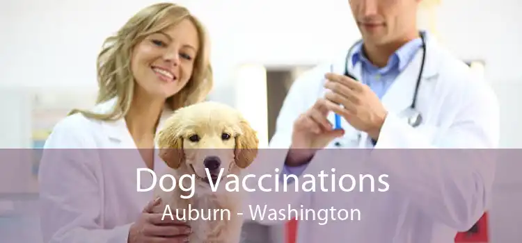 Dog Vaccinations Auburn - Washington