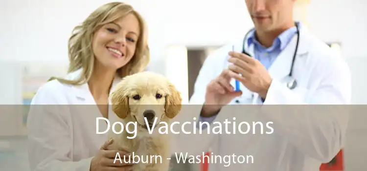 Dog Vaccinations Auburn - Washington