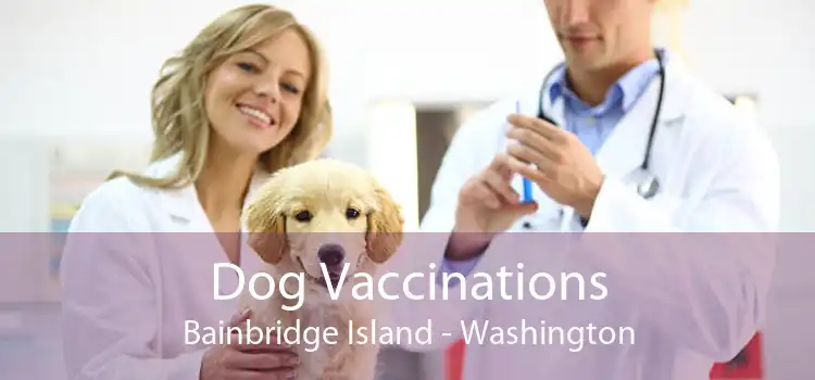Dog Vaccinations Bainbridge Island - Washington