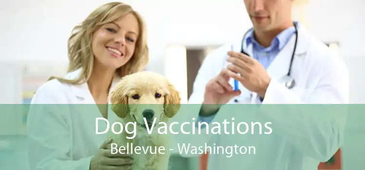 Dog Vaccinations Bellevue - Washington