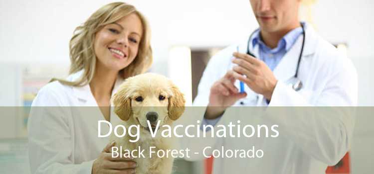 Dog Vaccinations Black Forest - Colorado