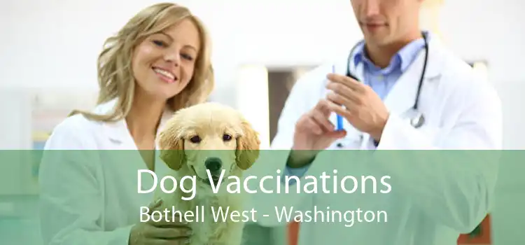 Dog Vaccinations Bothell West - Washington