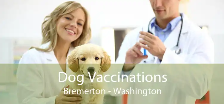 Dog Vaccinations Bremerton - Washington