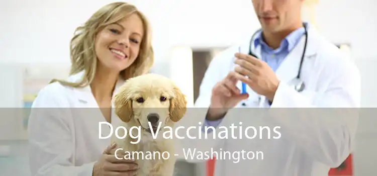 Dog Vaccinations Camano - Washington