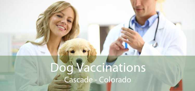 Dog Vaccinations Cascade - Colorado