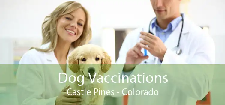 Dog Vaccinations Castle Pines - Colorado