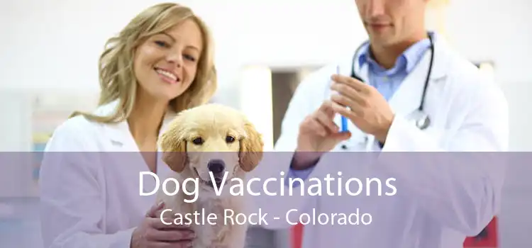 Dog Vaccinations Castle Rock - Colorado