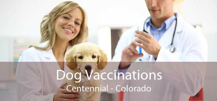 Dog Vaccinations Centennial - Colorado