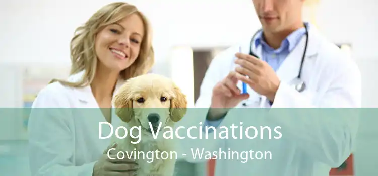Dog Vaccinations Covington - Washington